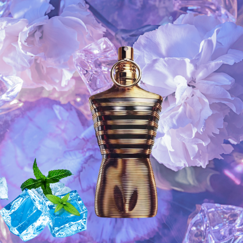 Perfume - Jean Paul Gaultier Le Male Elixir Parfum