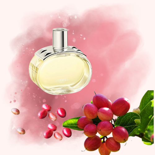 Perfume -Barénia Hermès